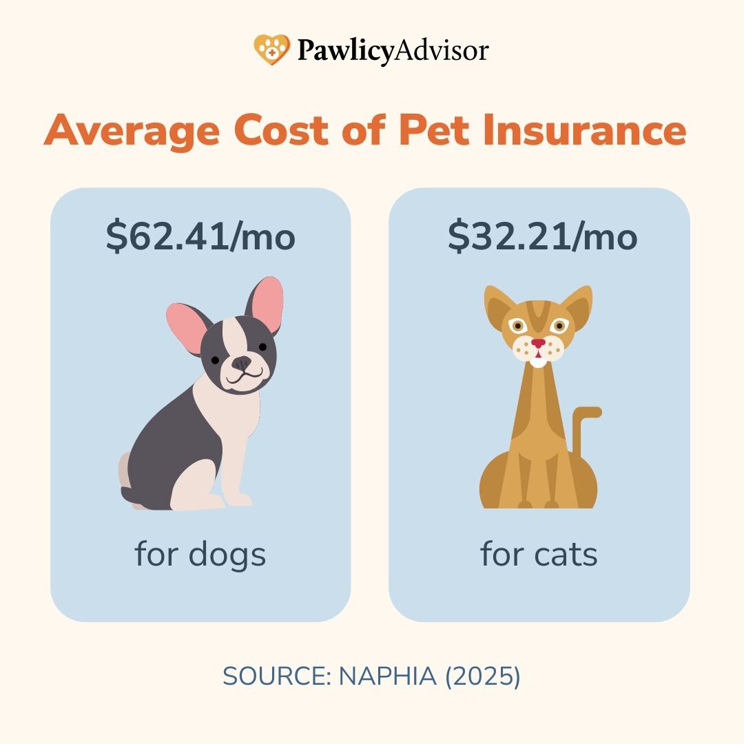 average cost of pet insurance
