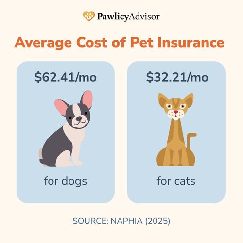 average cost of pet insurance