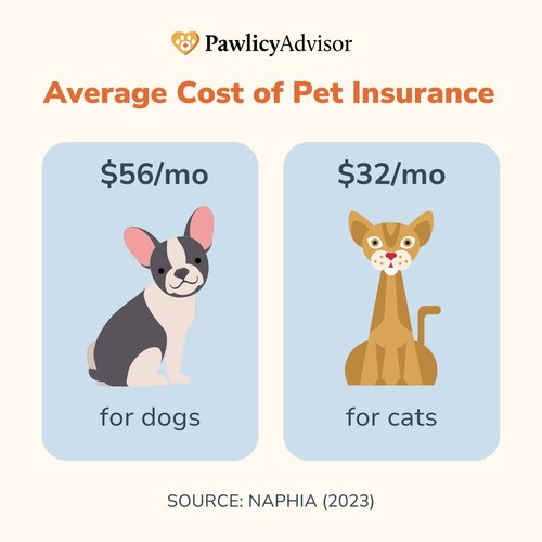 average cost of pet insurance