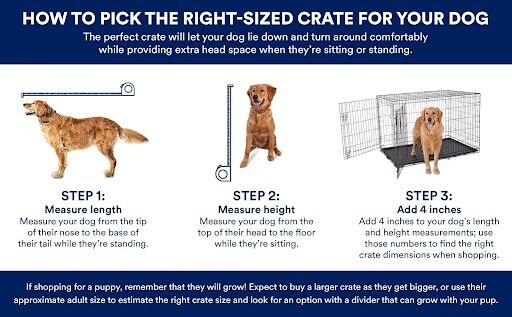 how to pick the right-sized crate 