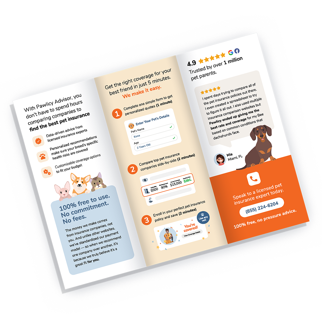 vet brochure spread