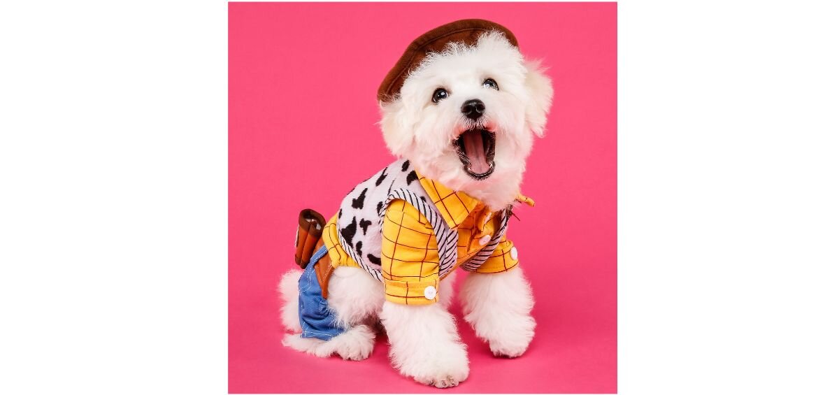 dog in woody costume