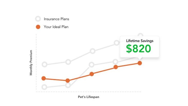 pawlicy advisor pet insurance savings