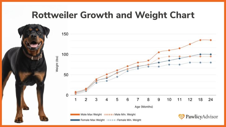 Rottweiler growth and weight chart comparing male and female over time