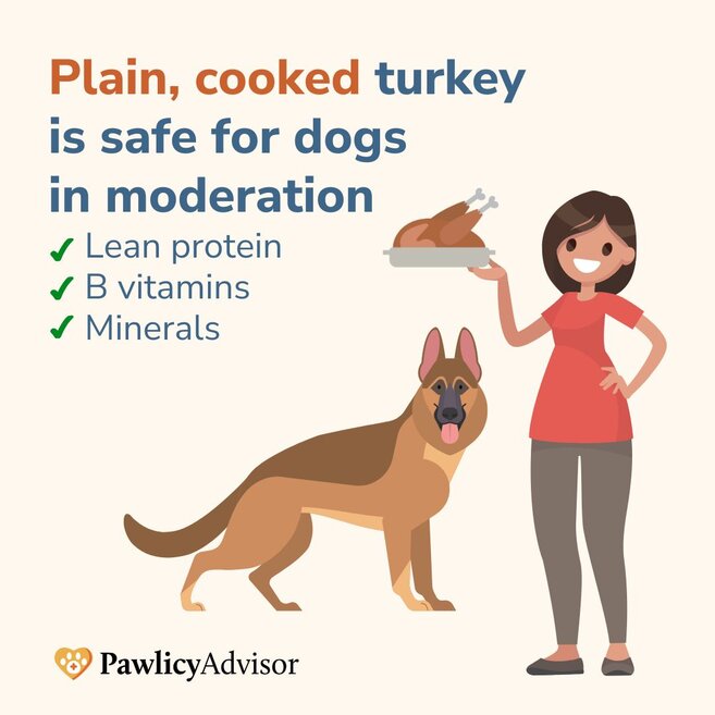 turkey nutrients for dogs