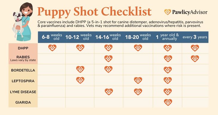 checklist of puppy shots