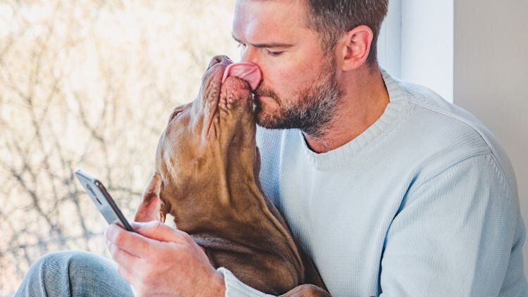 dog kisses man on the nose