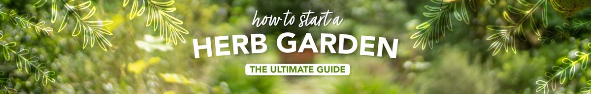 how to start a herb garden