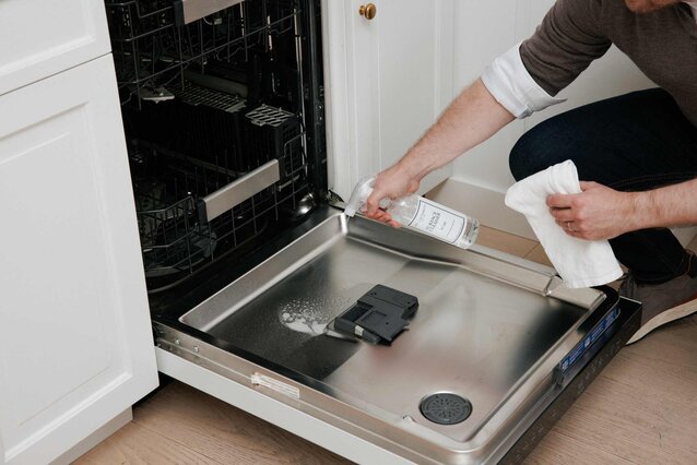 Person cleaning oven