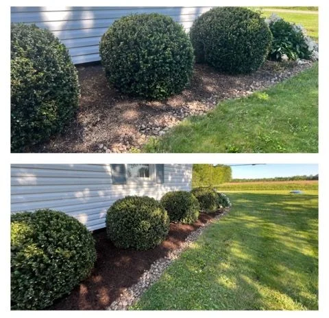 Landscape Cleanup in Norwalk, OH