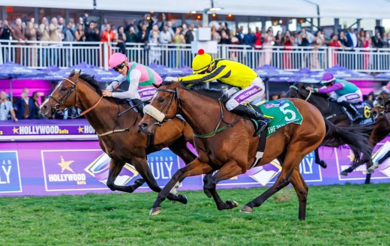 Greyville horse racing entertainment