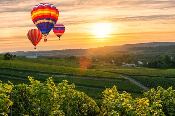 Hot air balloons over Cape Winelands at sunset