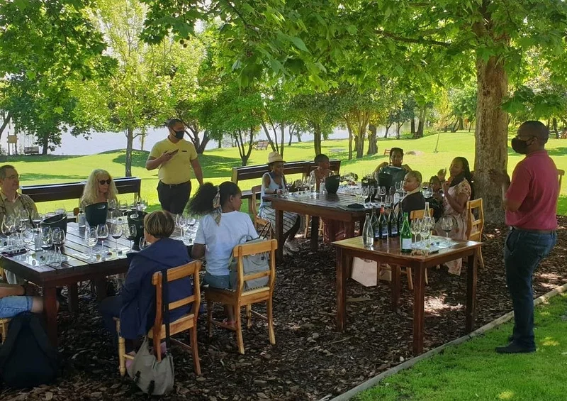 Outdoor wine tasting under ancient trees