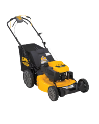 12A-01C2039 RWD Push Lawn Mower