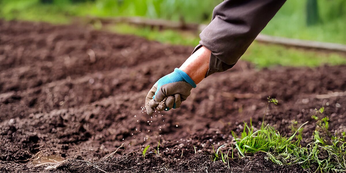 person planting grass seeds 