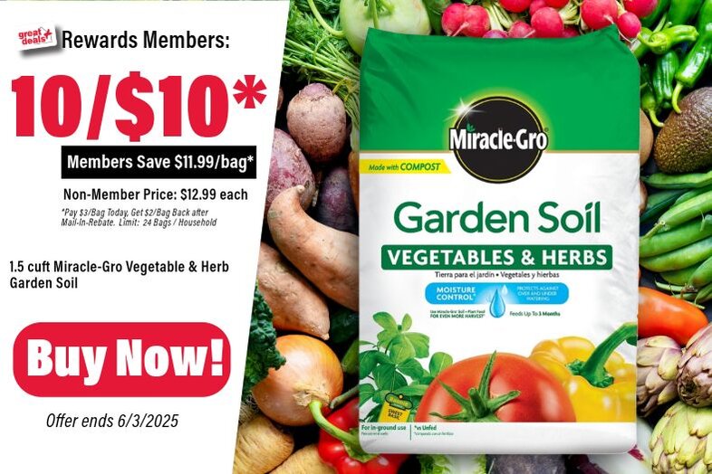 Miracle-Gro Vegetable and Herb Garden Soil 10 for $10 after sale and mail-in rebate