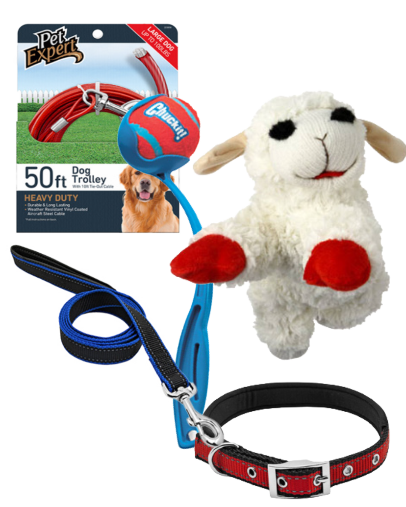 25% Off All Pet Toys & Accessories In-Stock