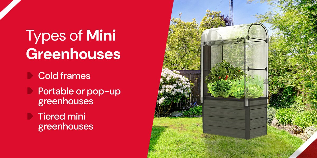 Types of Mini Greenhouses