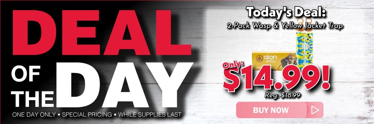 Deal of the Day 6/1 2-Pack Wasp & Yellow Jacket Trap