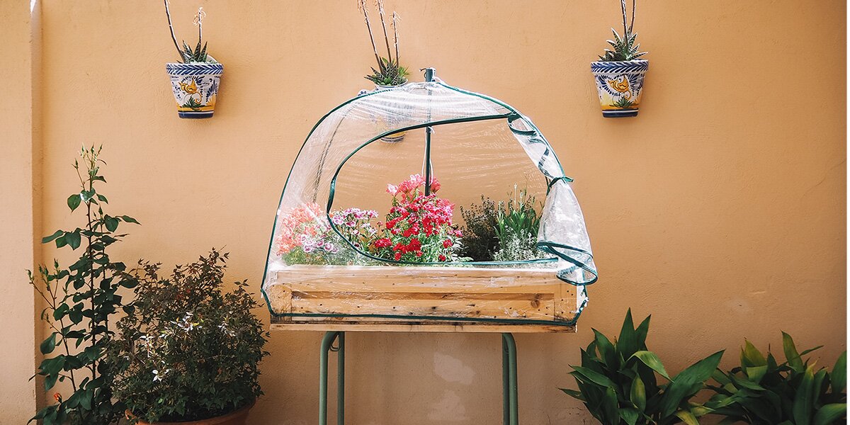 Mini Greenhouse Guide and Benefits