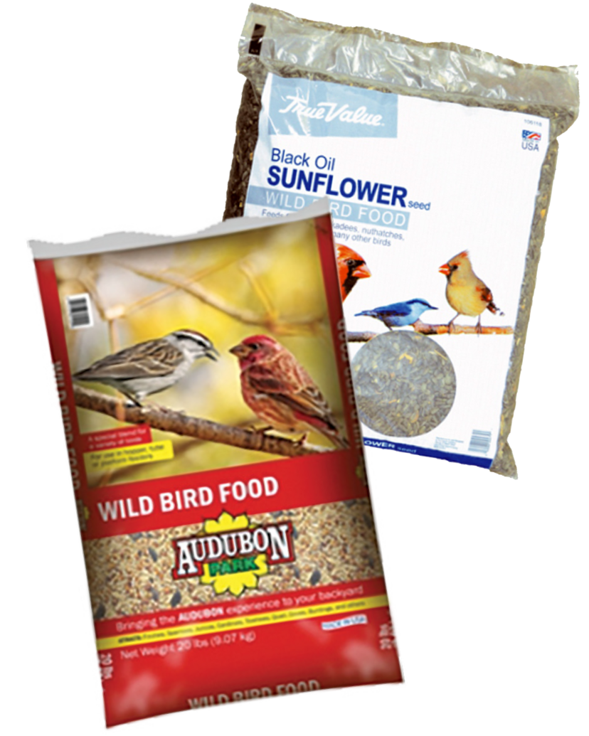 Your Choice: 20lb Wild Bird Seed or 10lb Black Oil Seed Only $10.99