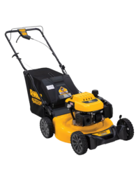 DeWalt 12AVP 2RF039 RWD Push Lawn Mower