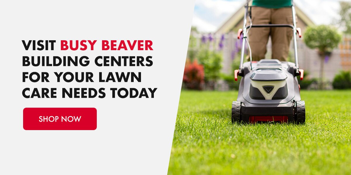 visit busy beaver for your lawn care needs