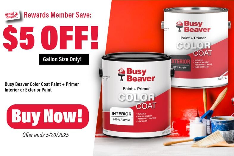 Busy Beaver Paint
