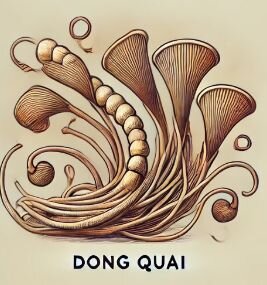 Dong Quai