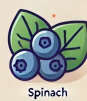 Spinach