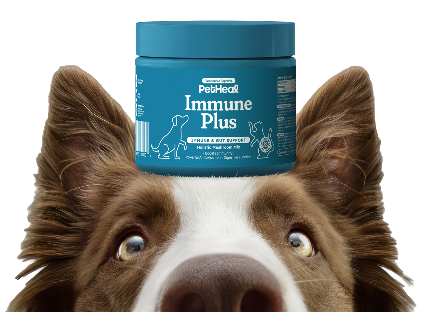 Dog with PetHeal Immune Guard balanced on his head
