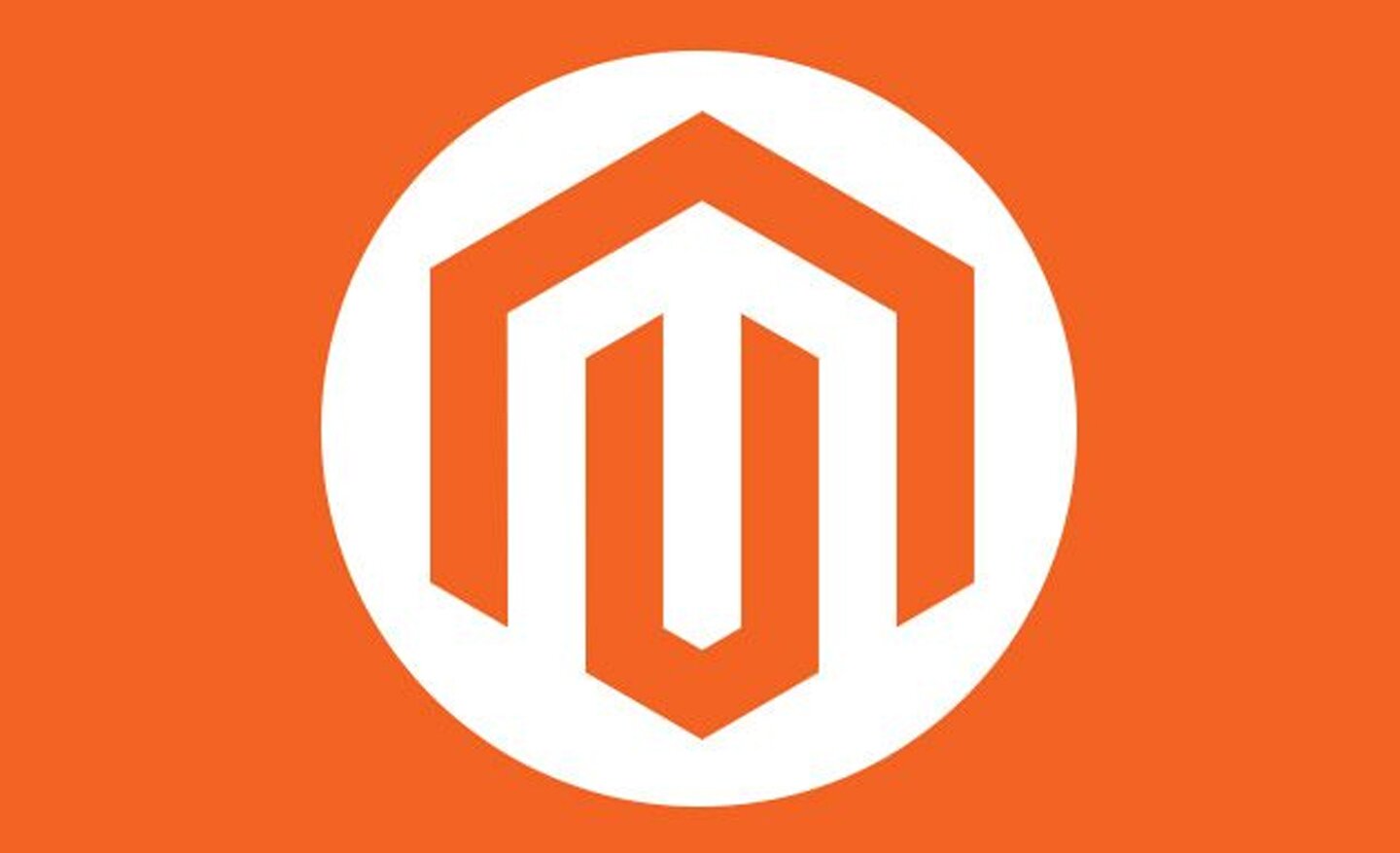 Marketing + Growth