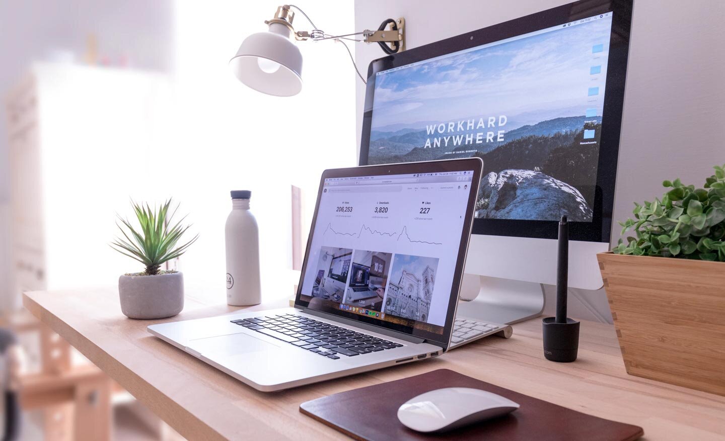 Marketing + Growth
