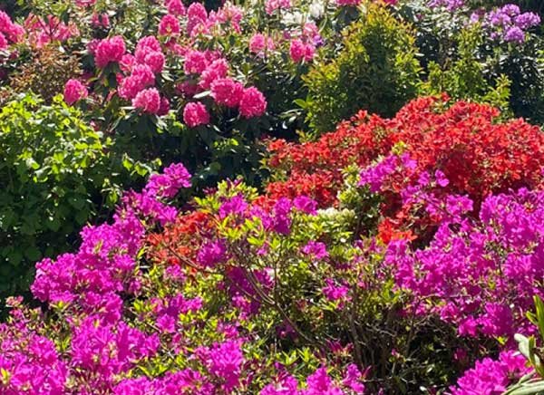 Things That Bring Me Joy: Eva Hoff