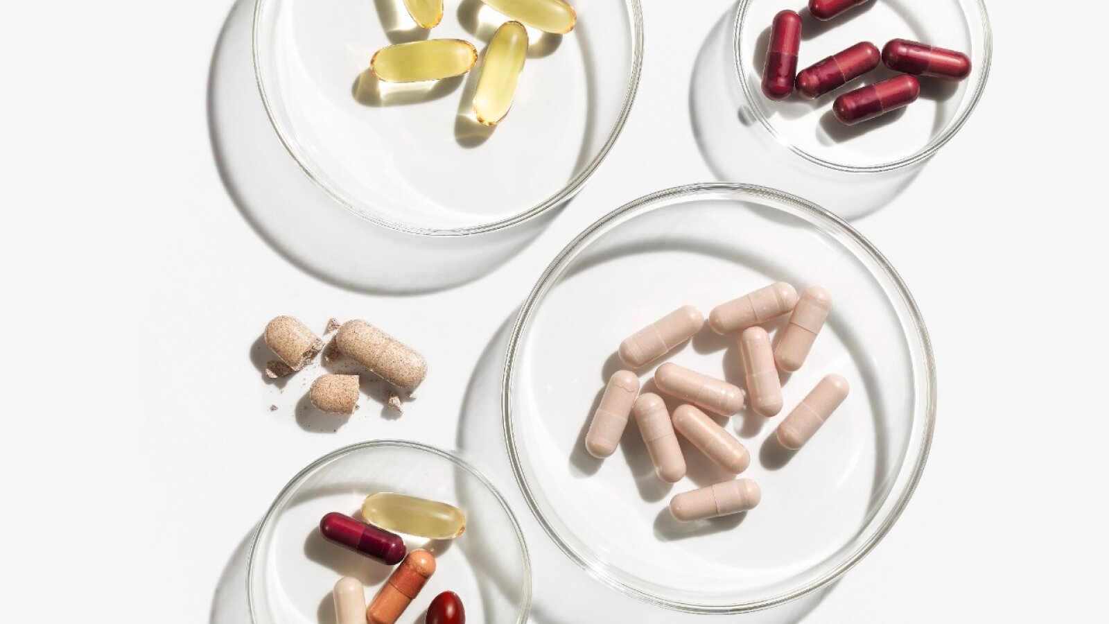 Advanced Nutrition Programme