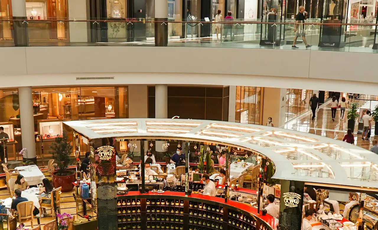 Technology + Ecommerce