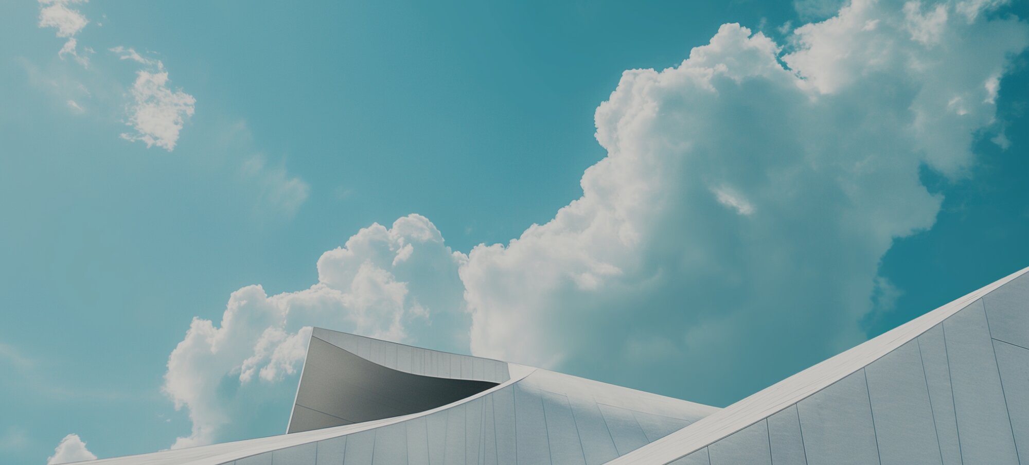 Recent Trends We Liked