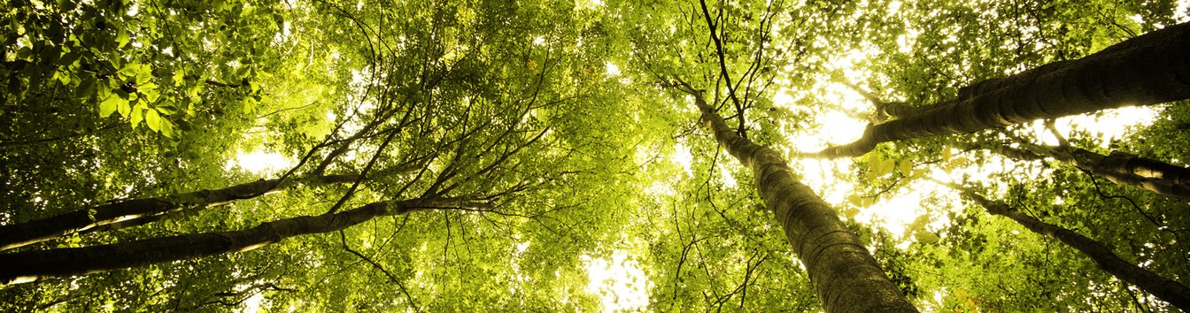 Mondi sustainable paper guide