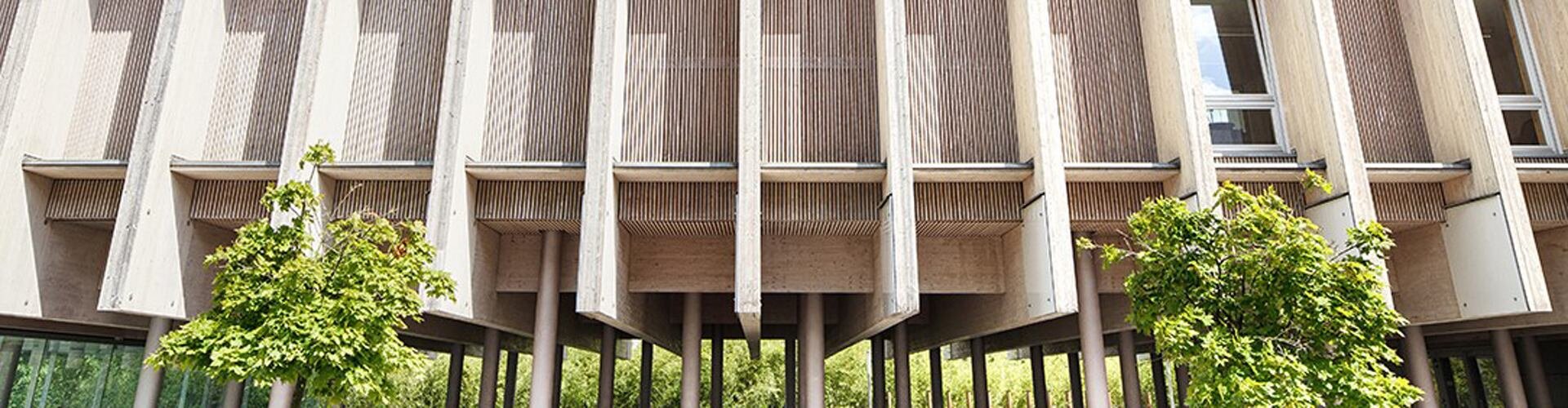 The UmweltDruckerei: On sustainability and specialisation in the printing business banner