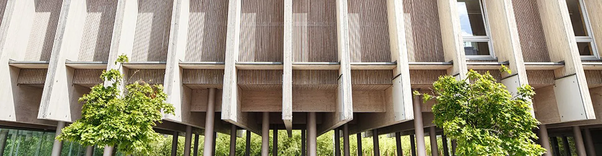 The UmweltDruckerei: On sustainability and specialisation in the printing business banner