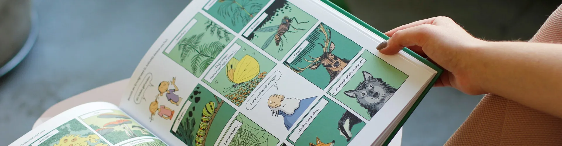 Sustainability at Mondi Uncoated Fine Paper - forest light 