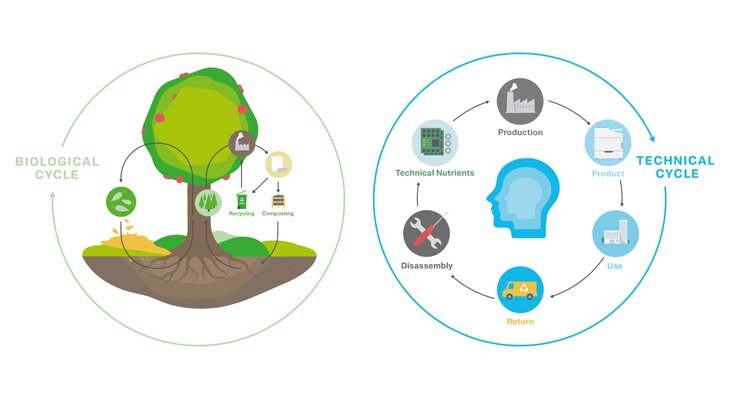 Biological and technical cycles