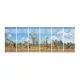 An image of Shop 10 X 20 Displays