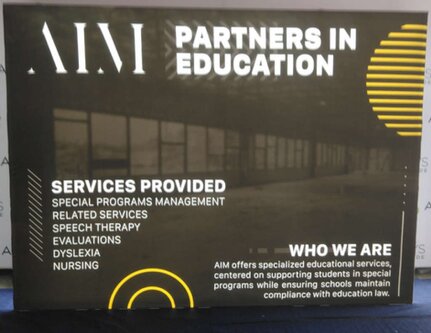 AIM backlit display by Ace Displays