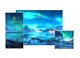 Shop Lumos Graphics_1