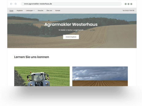 Homepage di un sito immobiliare dedicato a immobili in campagna