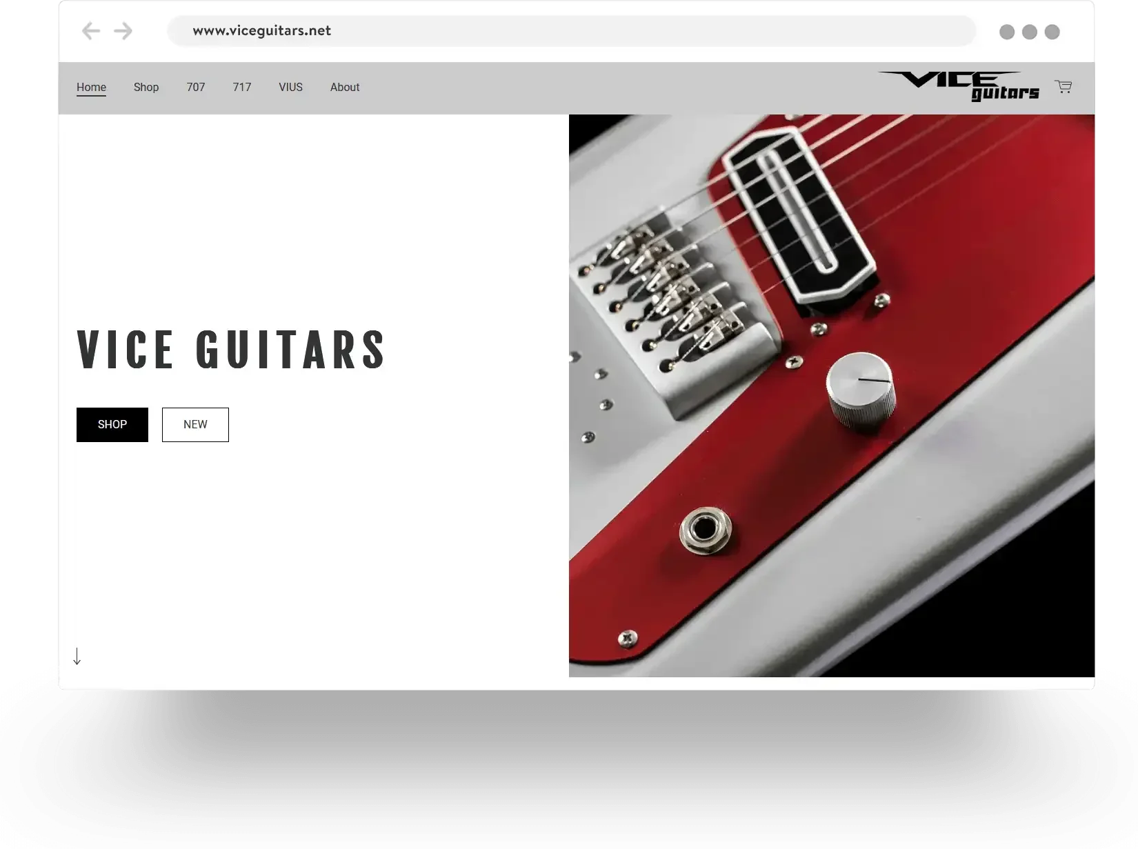 Example of a guitar shop online store built with Jimdo