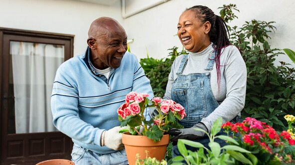 Smiling senior gardens and pots pink roses together at home, staying active with support from a Helper.