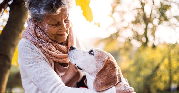 A senior woman gently holds a beagle, looking at the dog while they are outside near a tree.