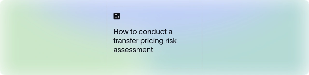 Step-by-Step Guide on Conducting a Transfer Pricing Risk Assessment